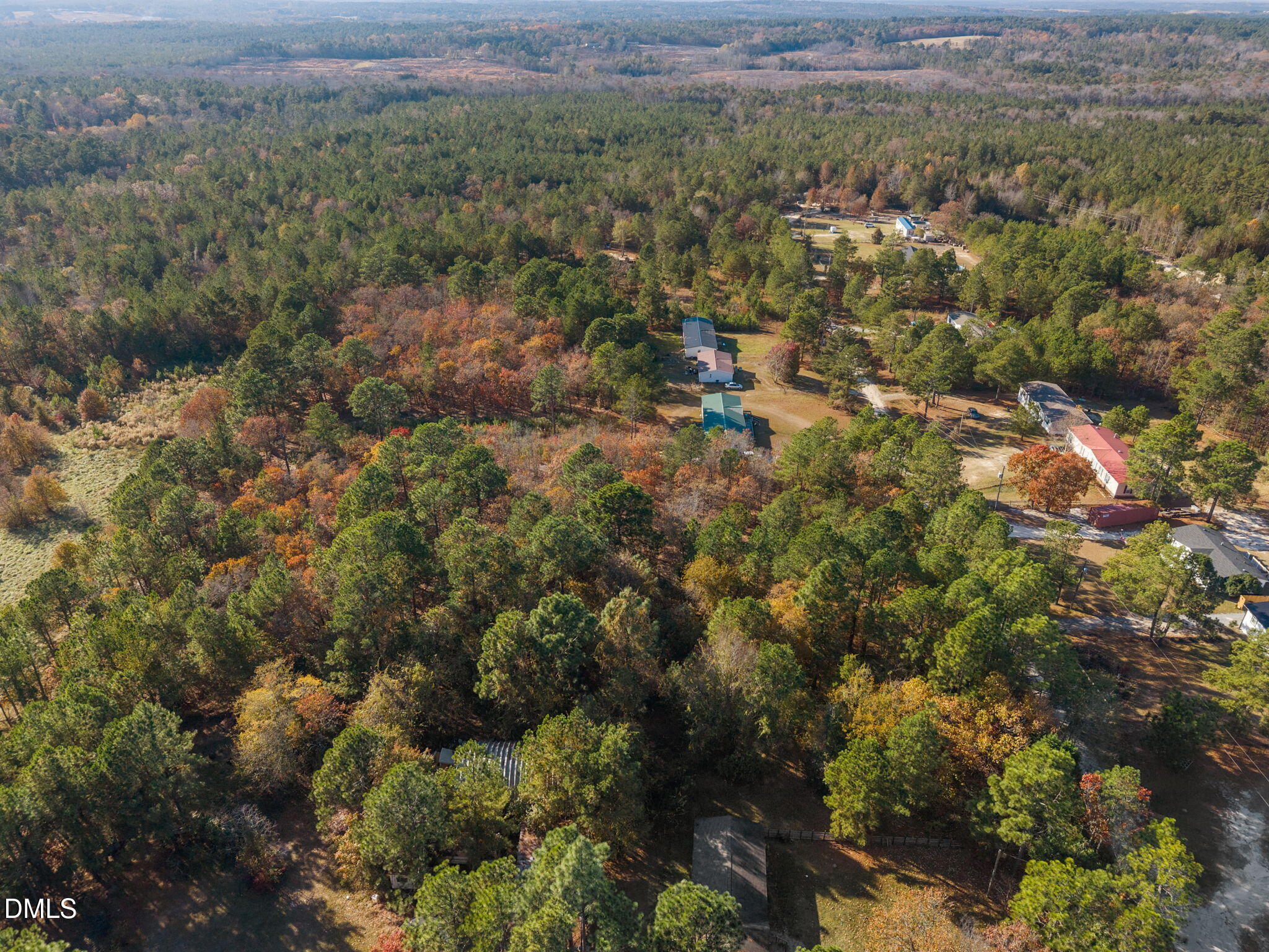 948 Pine Oak Cameron, NC 28326 - Photo 5 of 12 a view of a forest with a street