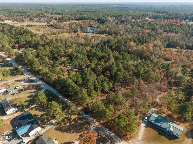 an aerial view of residential house with green space
