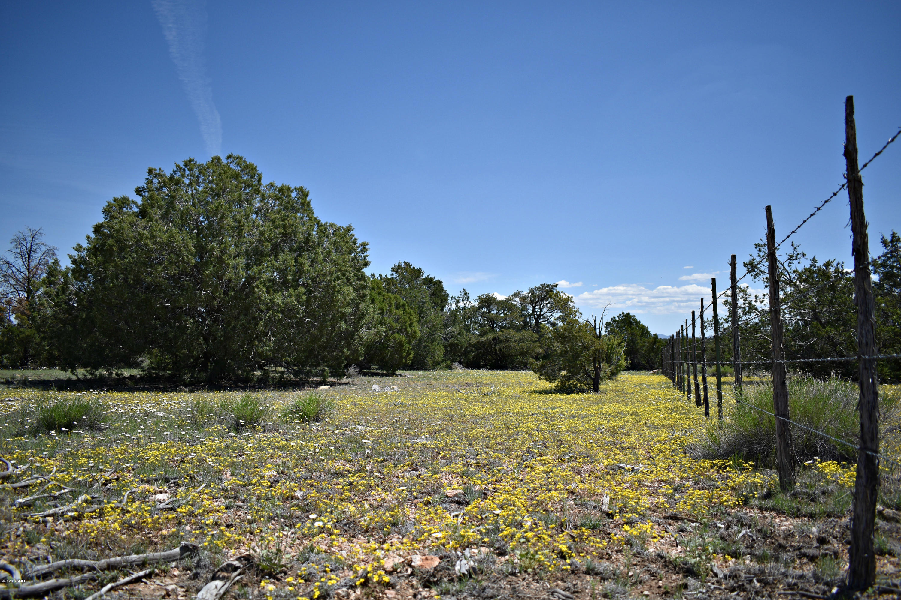 DSC_0986a