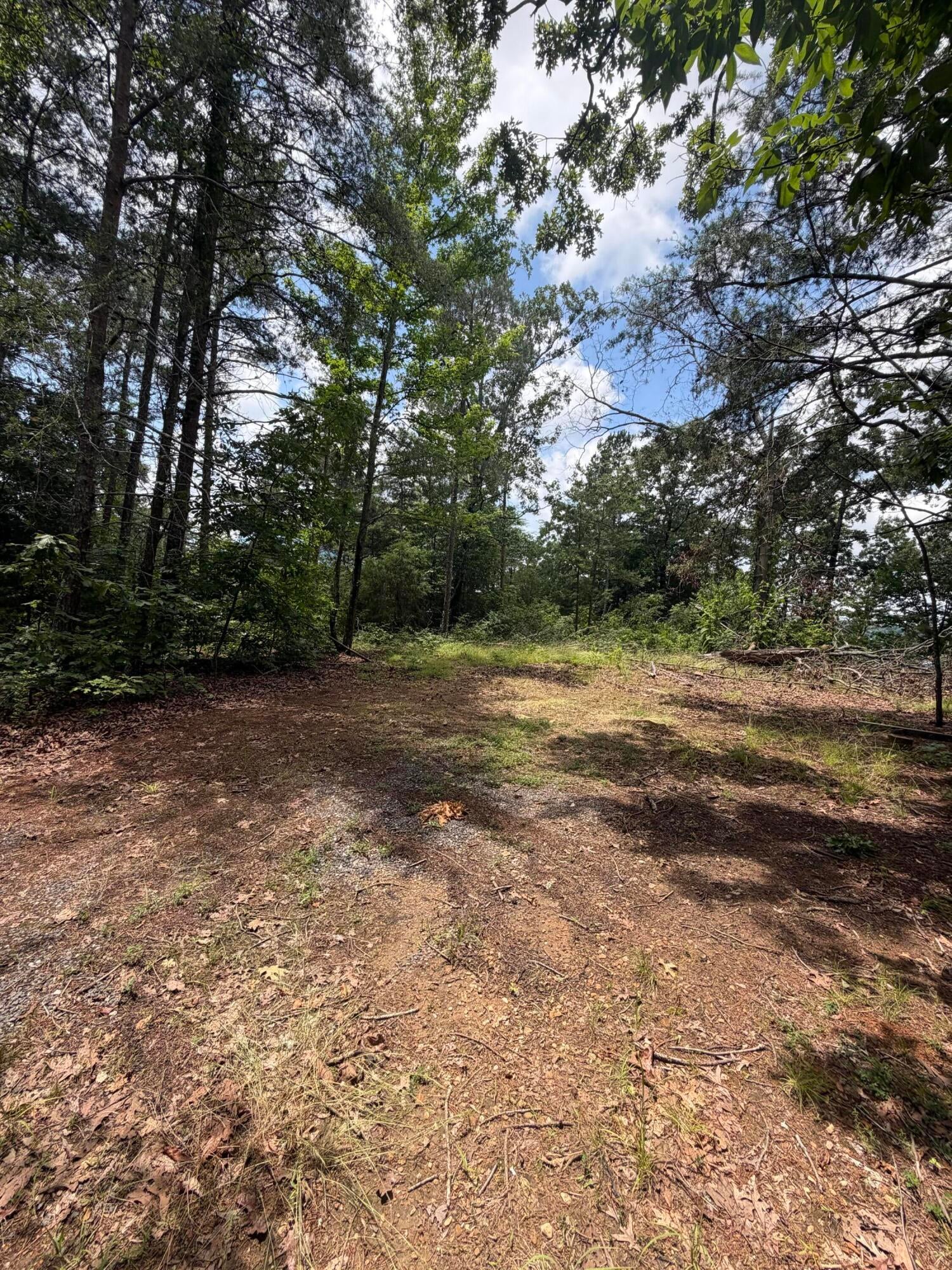 Lot 27 Riverton Riviera Ii Cherokee, AL 35616 - Photo 7 of 9 IMG_3381