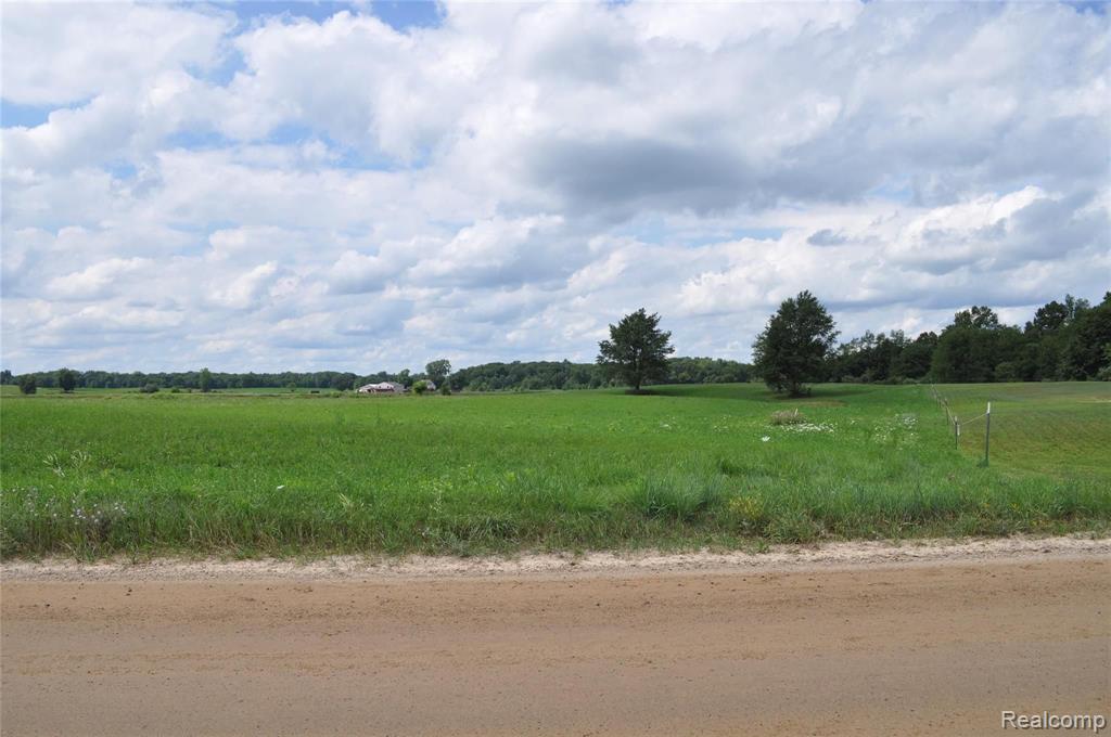 0 West Coon Lake Road Webberville, MI 48892 - Photo 9 of 38