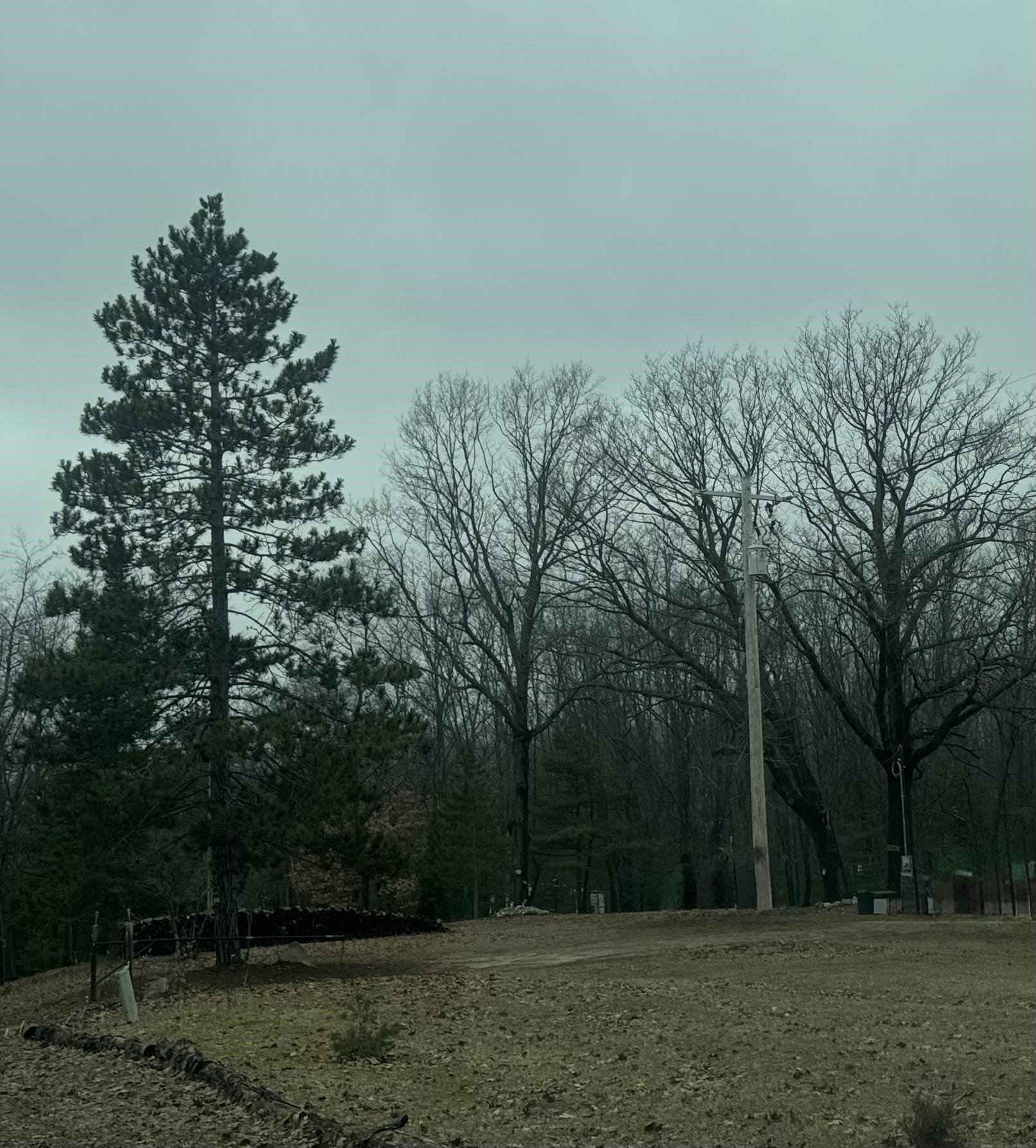 7620 Monroe Road Lake, MI 48632 - Photo 7 of 9