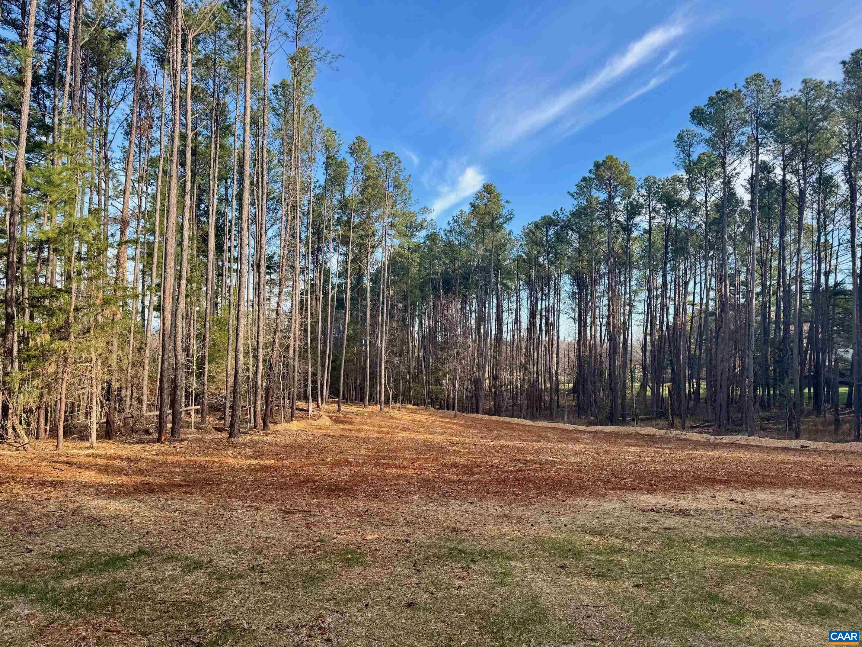 0 Garth Road Charlottesville, VA 22901 - Photo 4 of 6