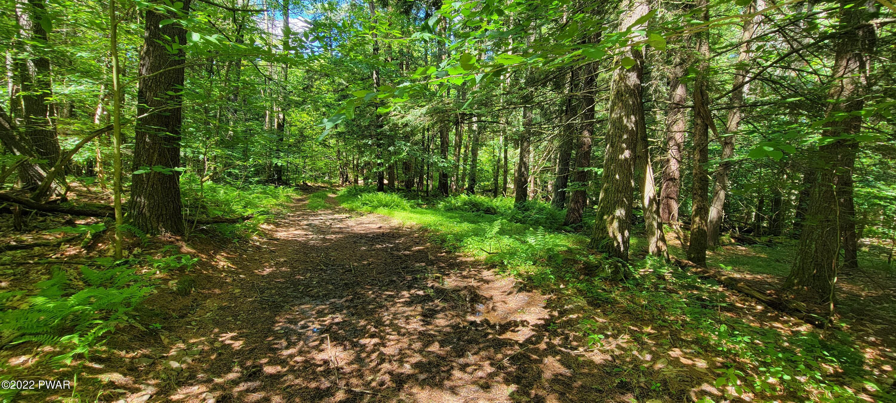 Lot 3.2 Buff Road Cochecton, NY 12726 - Photo 9 of 16 20220628_152405