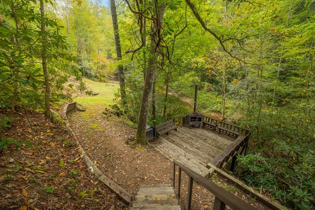 a view of a mountain range with lush green forest