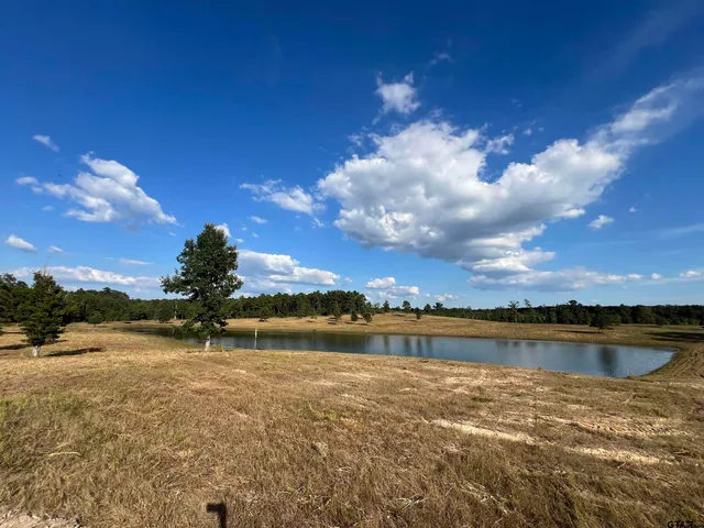 a view of an ocean and beach