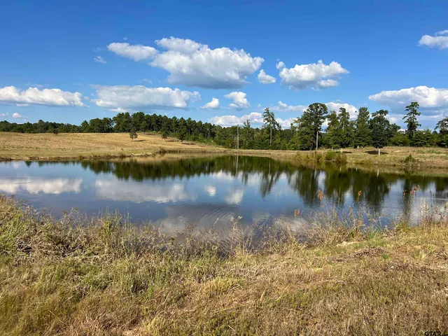 a view of a lake with a city