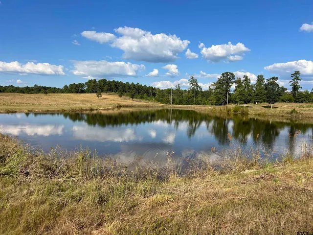 a view of a lake with a city