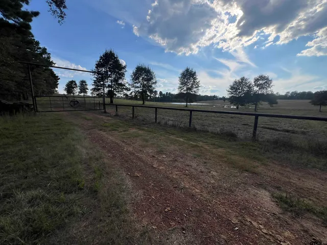 a view of a yard with wooden fence