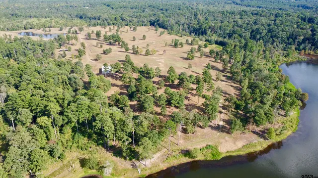 a view of a yard of a house