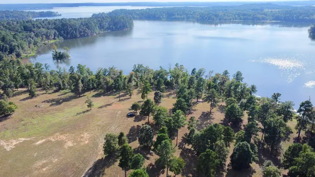 a view of a lake from a yard