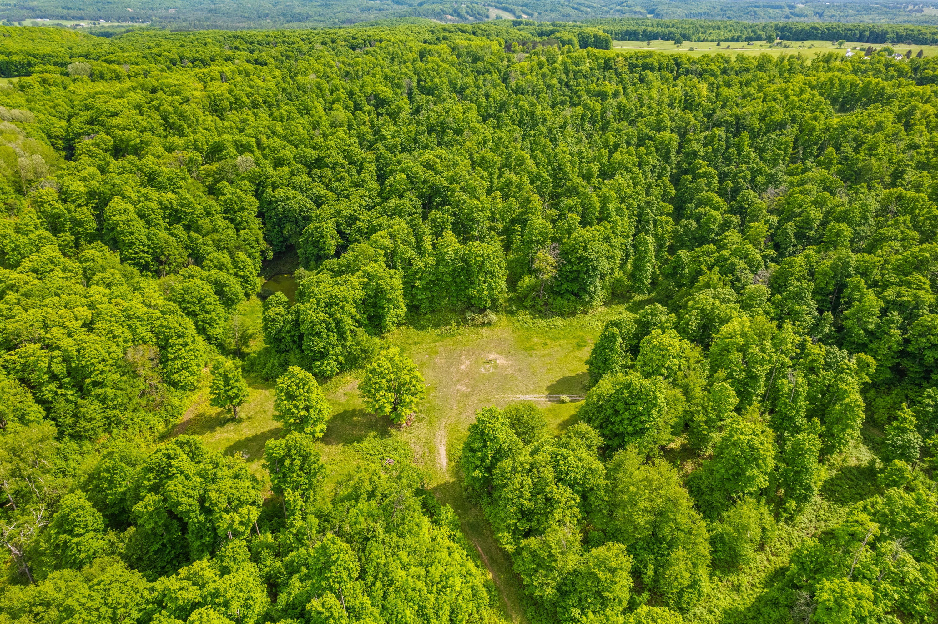 Seymore Road Gaylord, MI 49735 - Photo 4 of 27 DJI_0784