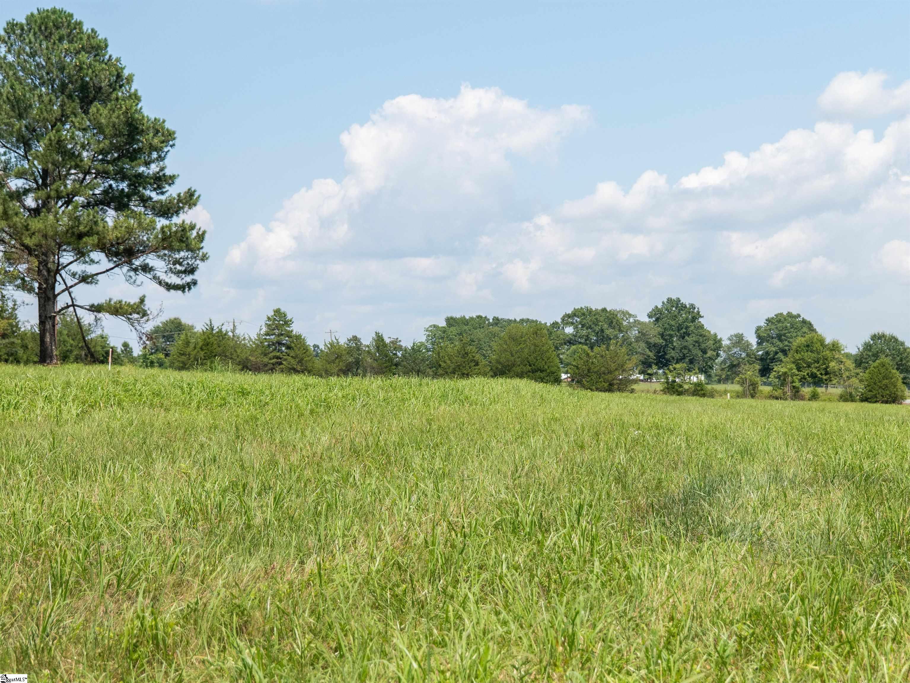 0 Cheek Road, Unit LOT 2 Gray Court, SC 29645 - Photo 21 of 23