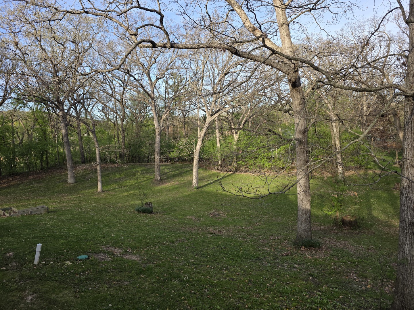 809 Ridgeland Street Fox River Grove, IL 60021 - Photo 35 of 50 a view of a park