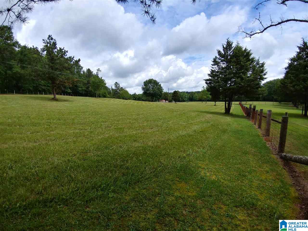 1350 Old Field Road Jacksonville, AL 36265 - Photo 4 of 45