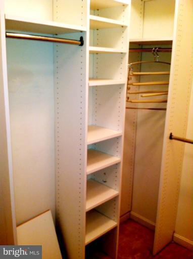 12008 Amber Ridge Circle, Unit A201 Germantown, MD 20876 - Photo 6 of 17 a view of walk in closet with empty racks