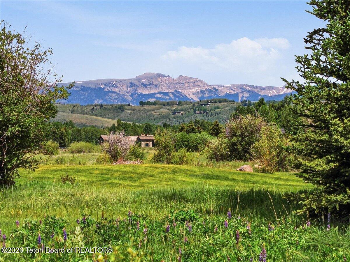 2450 North Fish Creek Road Wilson, WY 83014 - Photo 3 of 40 14-19 - 2450 Fish Creek Rd