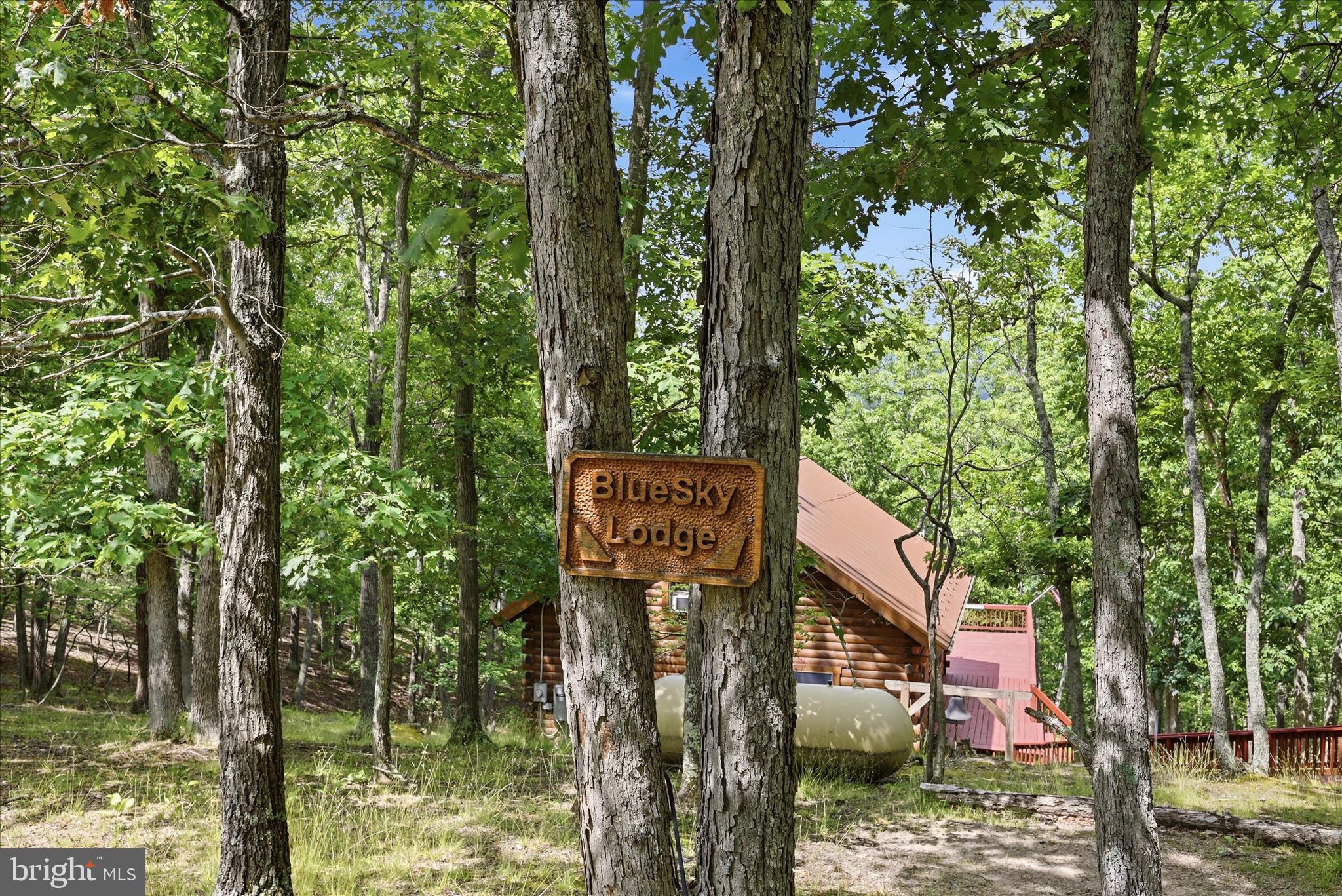 2858 Crossings View Road Paw Paw, WV 25434 - Photo 39 of 69 Blue Sky Lodge