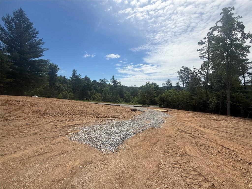2 Mountain Road Morganton, GA 30560 - Photo 5 of 22