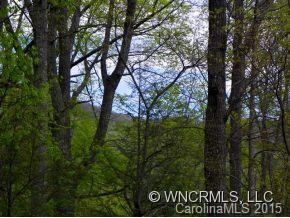 595 Quail Ridge Road, Unit 7 Lake Lure, NC 28746 - Photo 4 of 10 Gallery Image 4