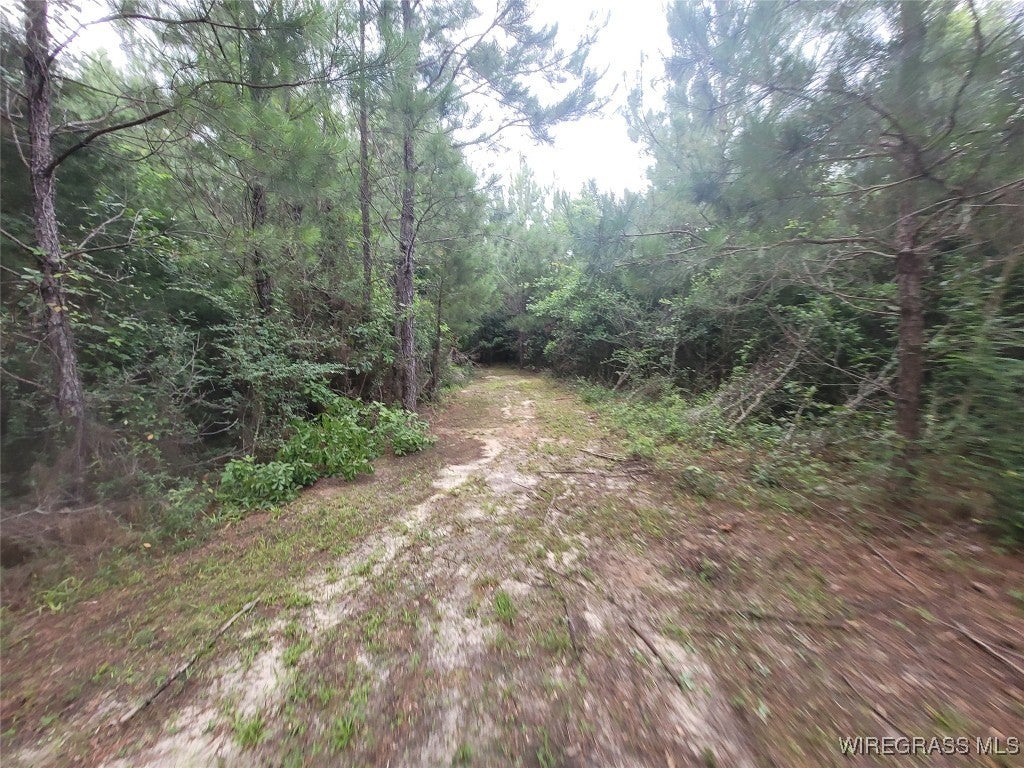 3270 Joe Reeves Road Castleberry, AL 36432 - Photo 50 of 51 Gallery Image 50