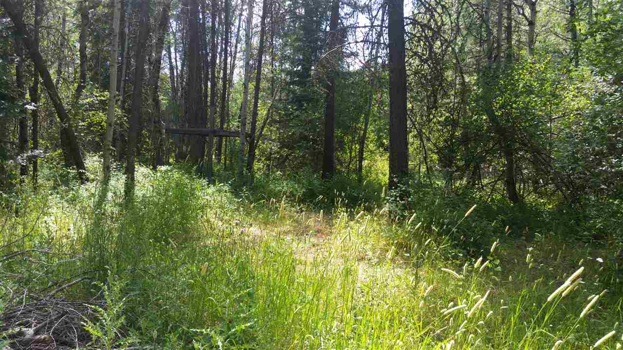 381 North Davis Road, Unit 381 Usk, WA 99180 - Photo 5 of 13 Gallery Image 5