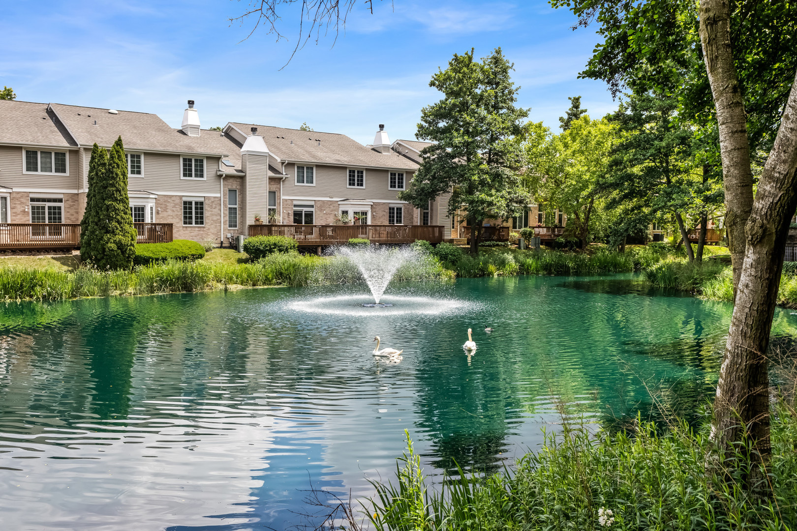 1746 Park Ridge Point Park Ridge, IL 60068 - Photo 20 of 54