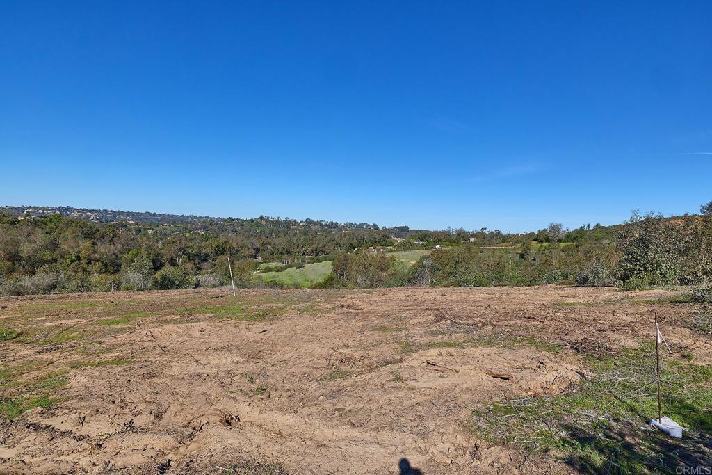 16331 Rambla De Las Flores Rancho Santa Fe, CA 92067 - Photo 3 of 9