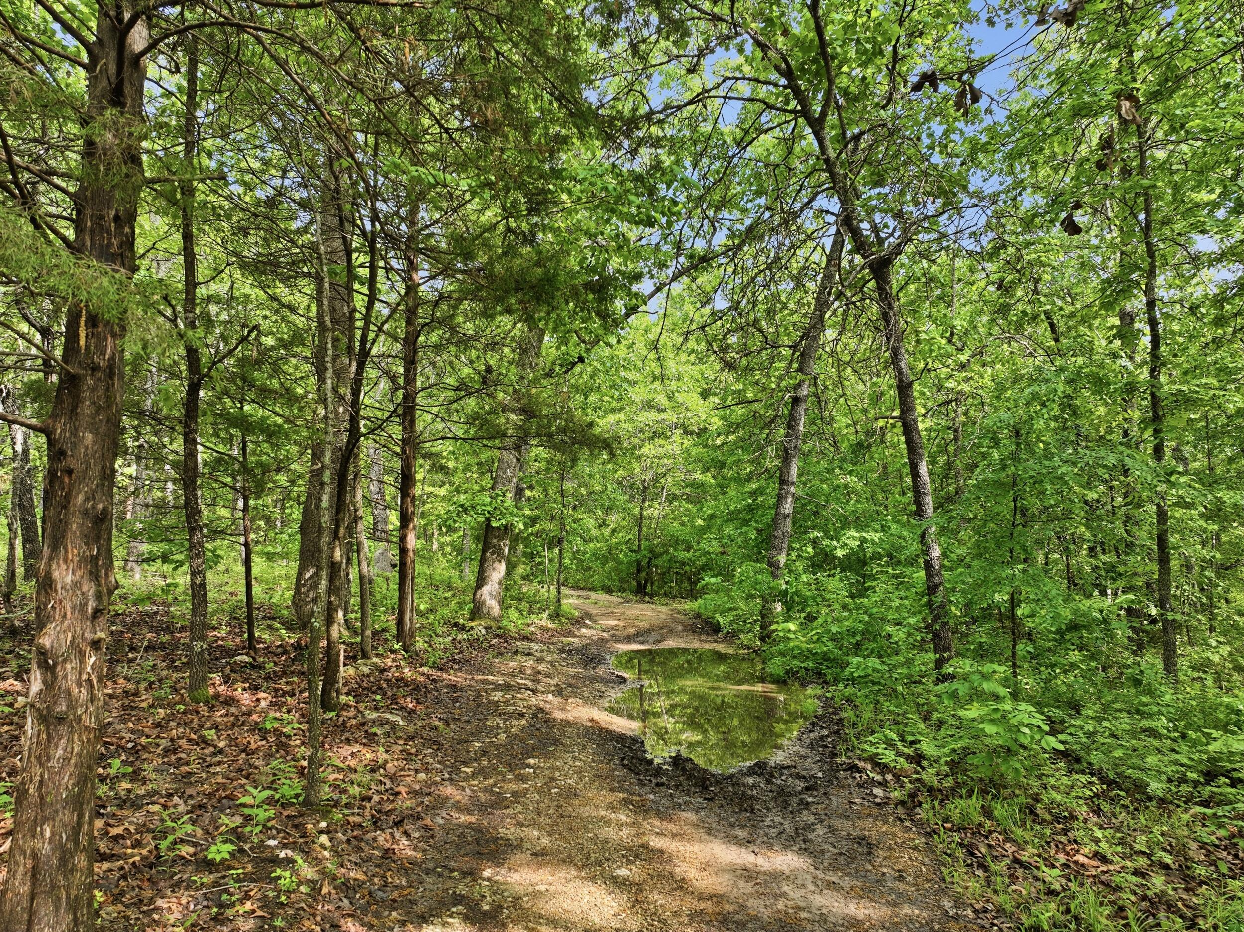 358 Co Road Caulfield, MO 65626 - Photo 67 of 74 dji_0084