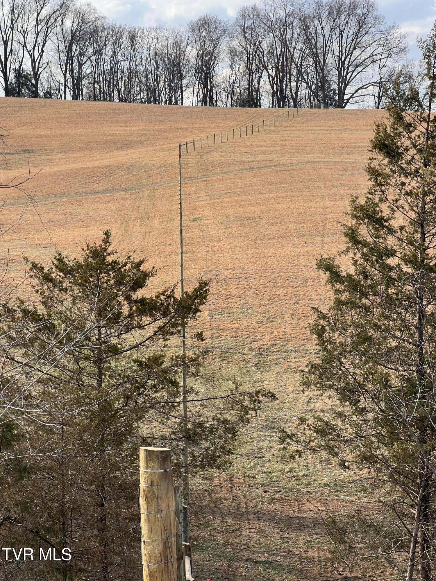 0 Jackson Road, Unit 10 11 12 Fall Branch, TN 37656 - Photo 12 of 29 JACKSON.RD-00002