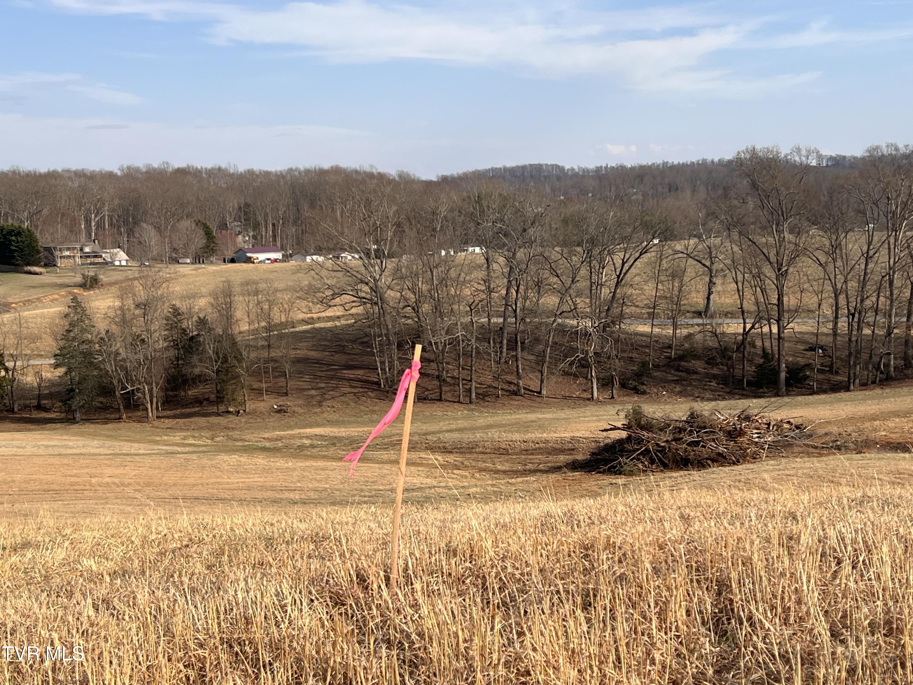 0 Jackson Road, Unit 10 11 12 Fall Branch, TN 37656 - Photo 23 of 29 JACKSON.RD-00005