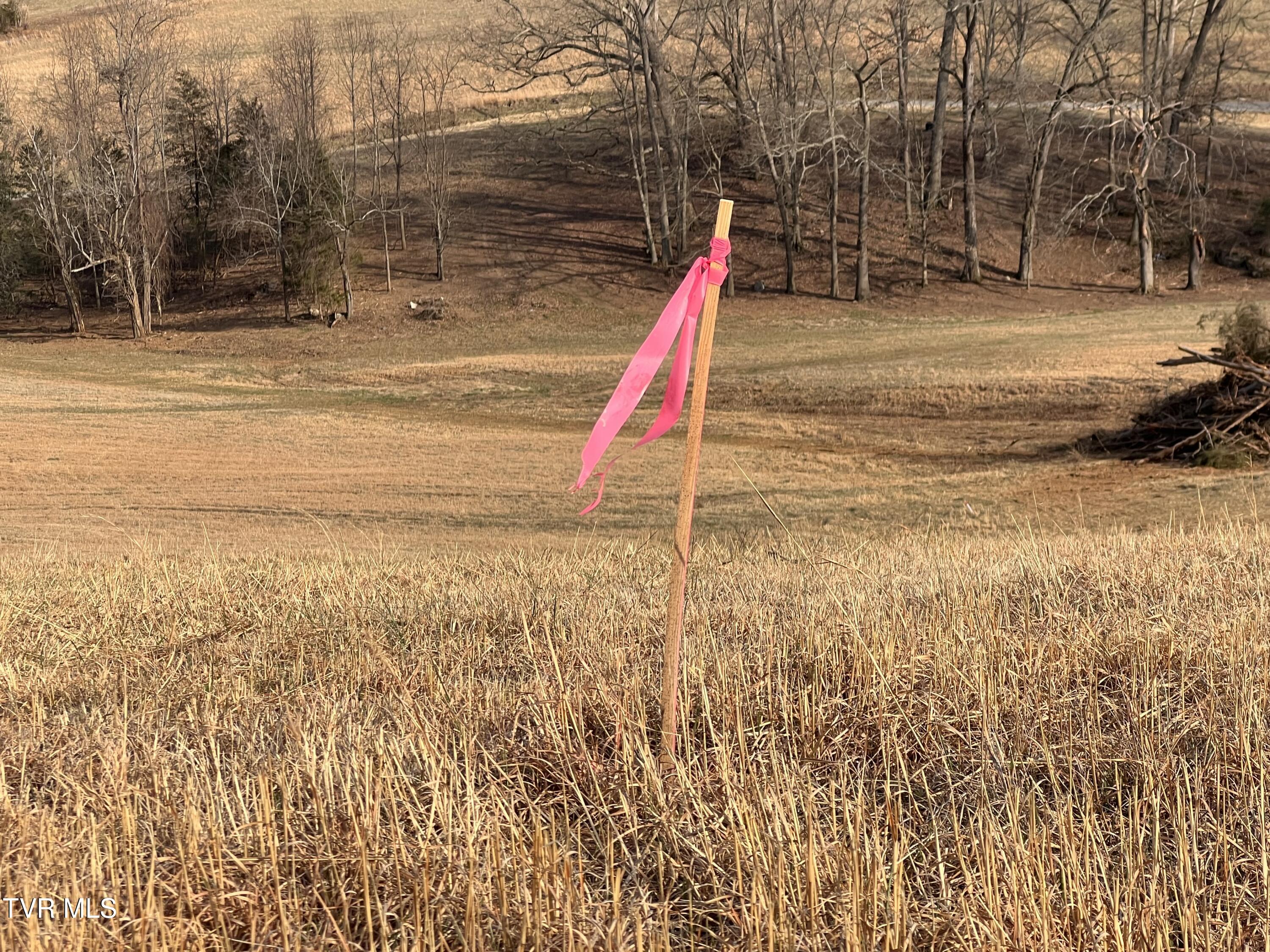 0 Jackson Road, Unit 10 11 12 Fall Branch, TN 37656 - Photo 24 of 29 JACKSON.RD-00006