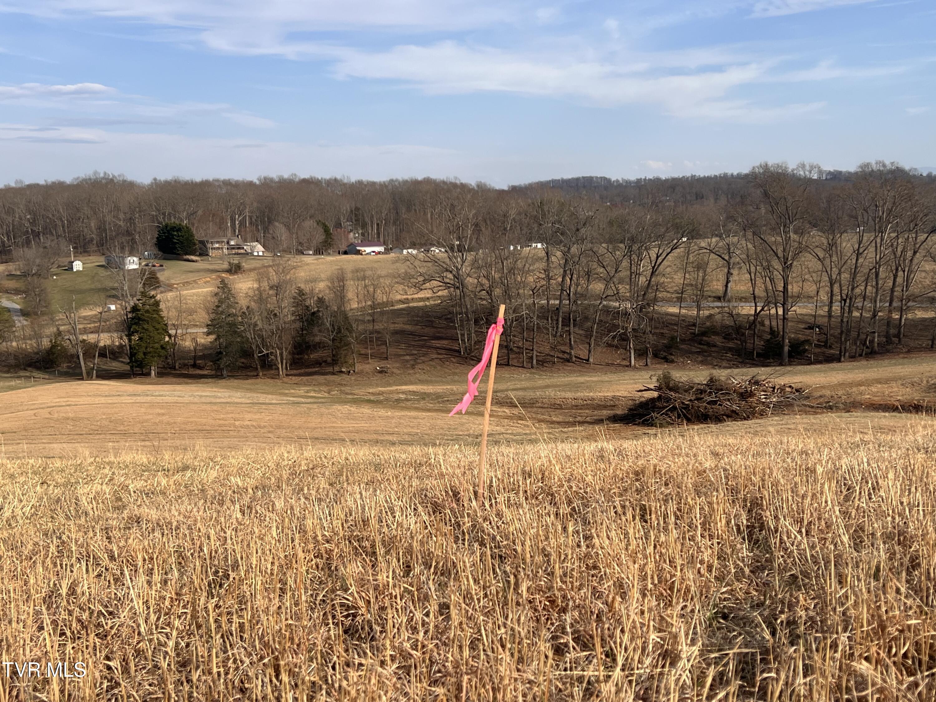 0 Jackson Road, Unit 10 11 12 Fall Branch, TN 37656 - Photo 25 of 29 JACKSON.RD-00007