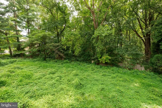 a view of yard with green space