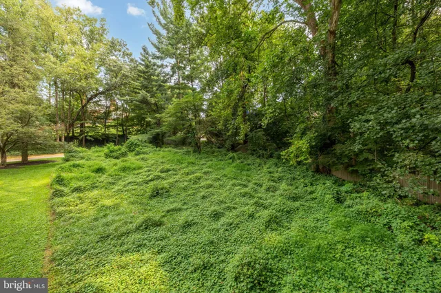 a view of yard with green space
