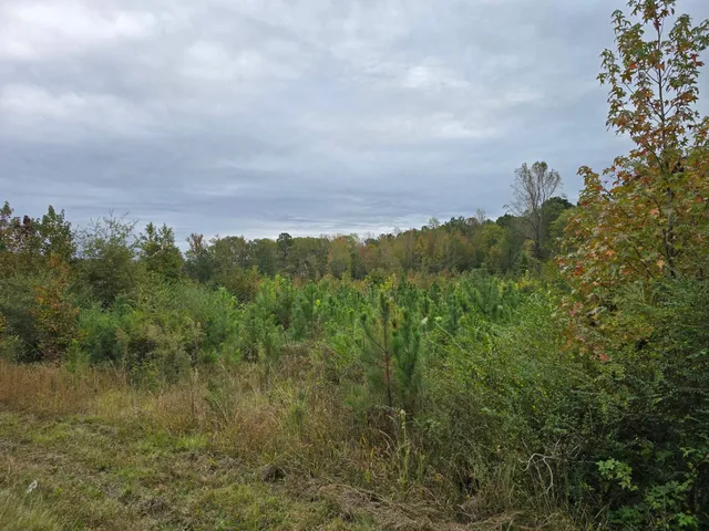 $80,000 | 0 East E Highway, McCormick, SC 29835