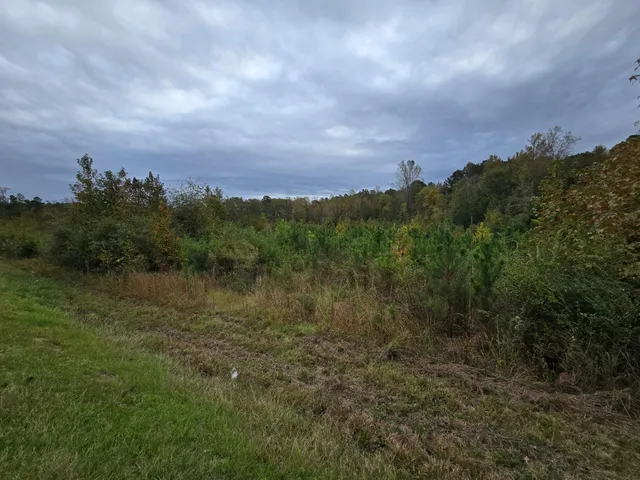 $80,000 | 0 East E Highway, McCormick, SC 29835