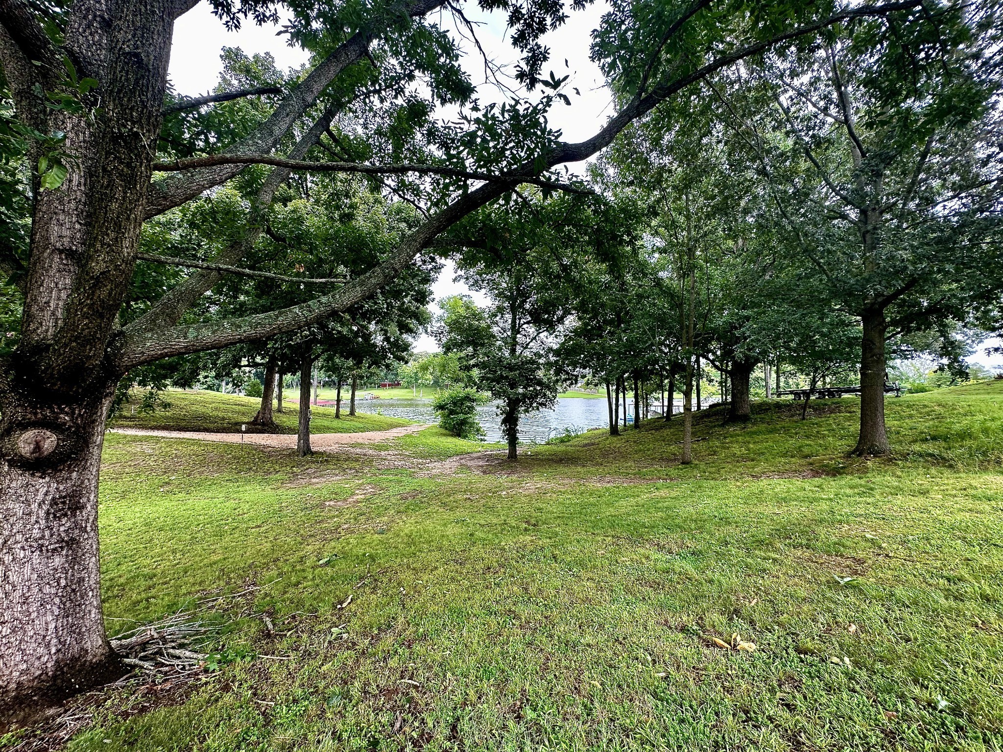 0 Eva Harbor Road Eva, TN 38333 - Photo 3 of 7 a view of park with trees