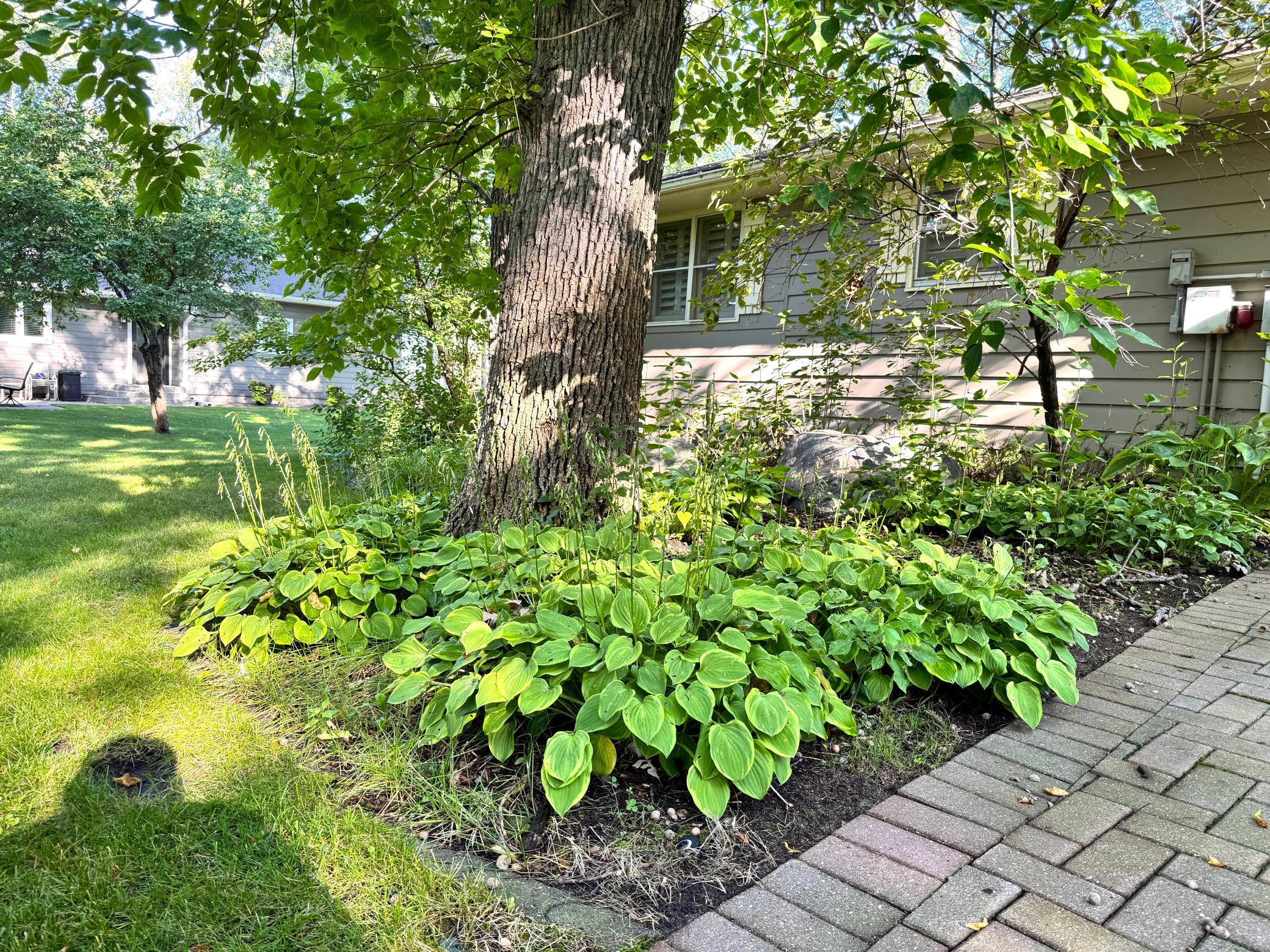 38675 Wagon Trail Loop Battle Lake, MN 56515 - Photo 12 of 48