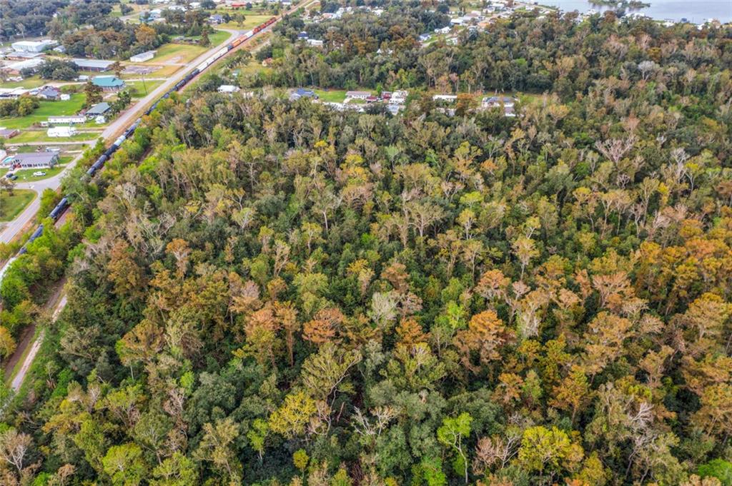 0 Ridge Road Des Allemands, LA 70030 - Photo 7 of 9