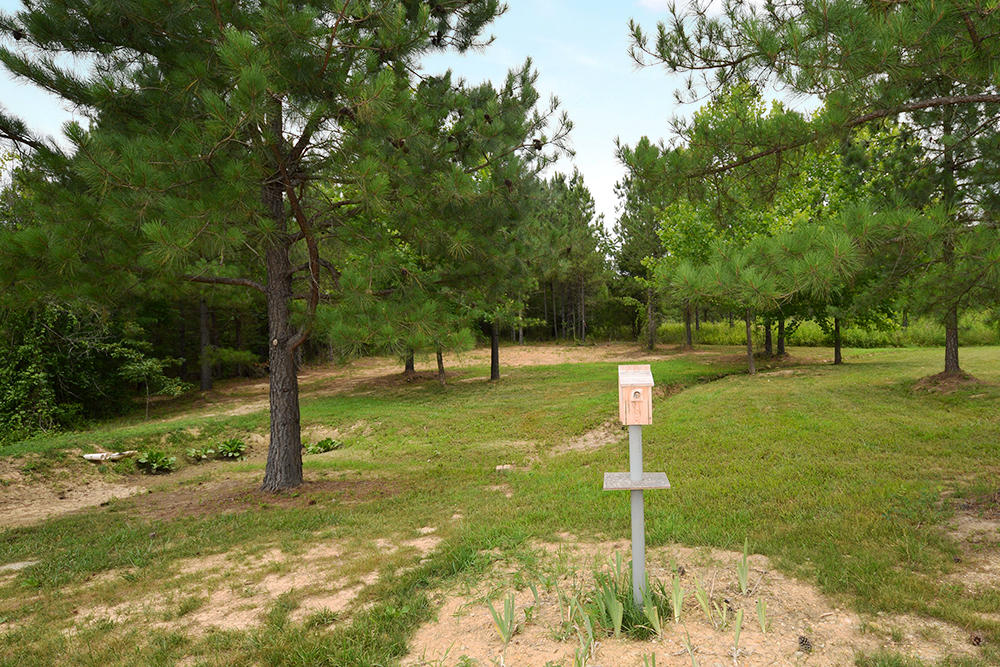 2511 Lower River Road Decatur, TN 37322 - Photo 36 of 40 2511_Lower_River_Rd_36
