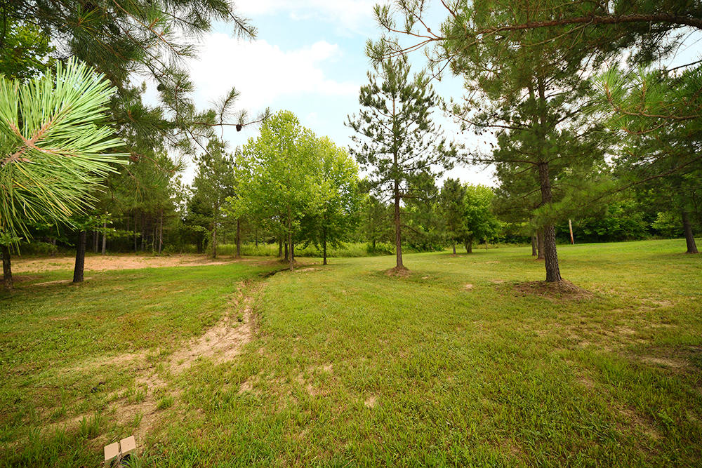 2511 Lower River Road Decatur, TN 37322 - Photo 38 of 40 2511_Lower_River_Rd_38