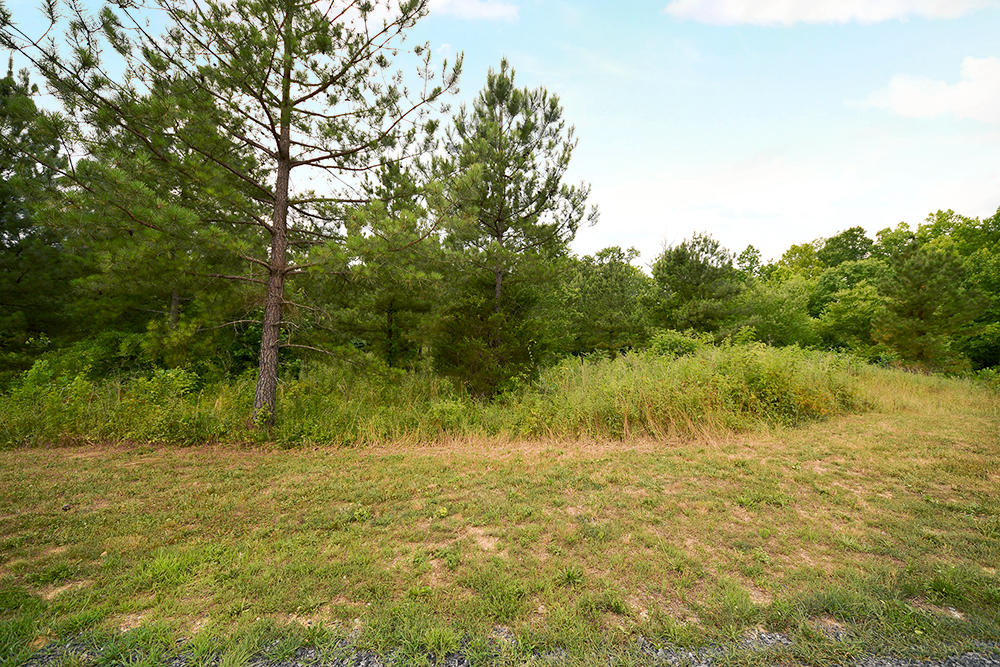 2511 Lower River Road Decatur, TN 37322 - Photo 39 of 40 2511_Lower_River_Rd_39