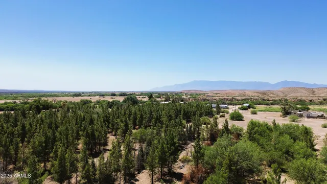 a view of a city with lush green forest