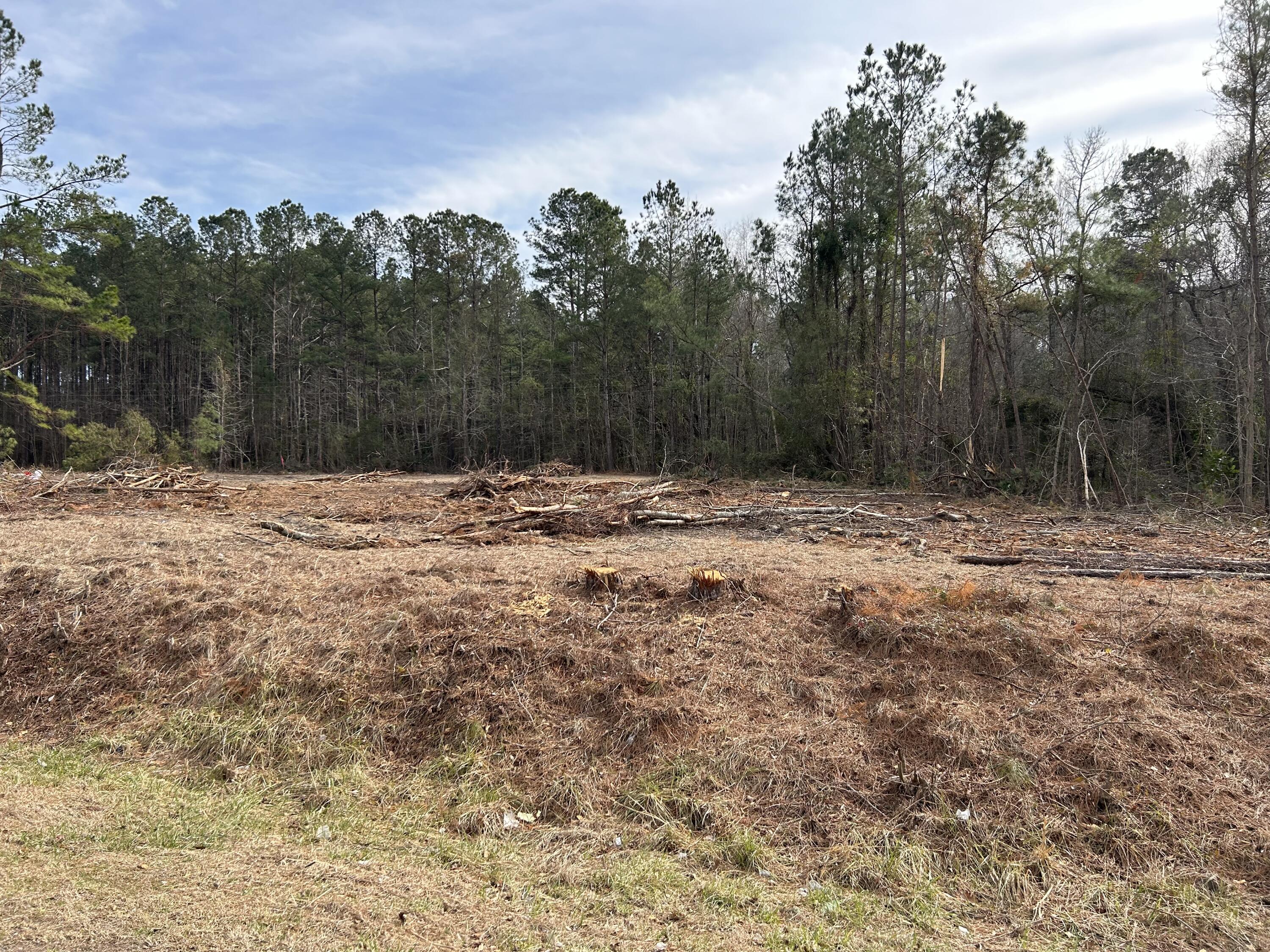 34 McAllister Road Kingstree, SC 29556 - Photo 3 of 4 IMG_3578