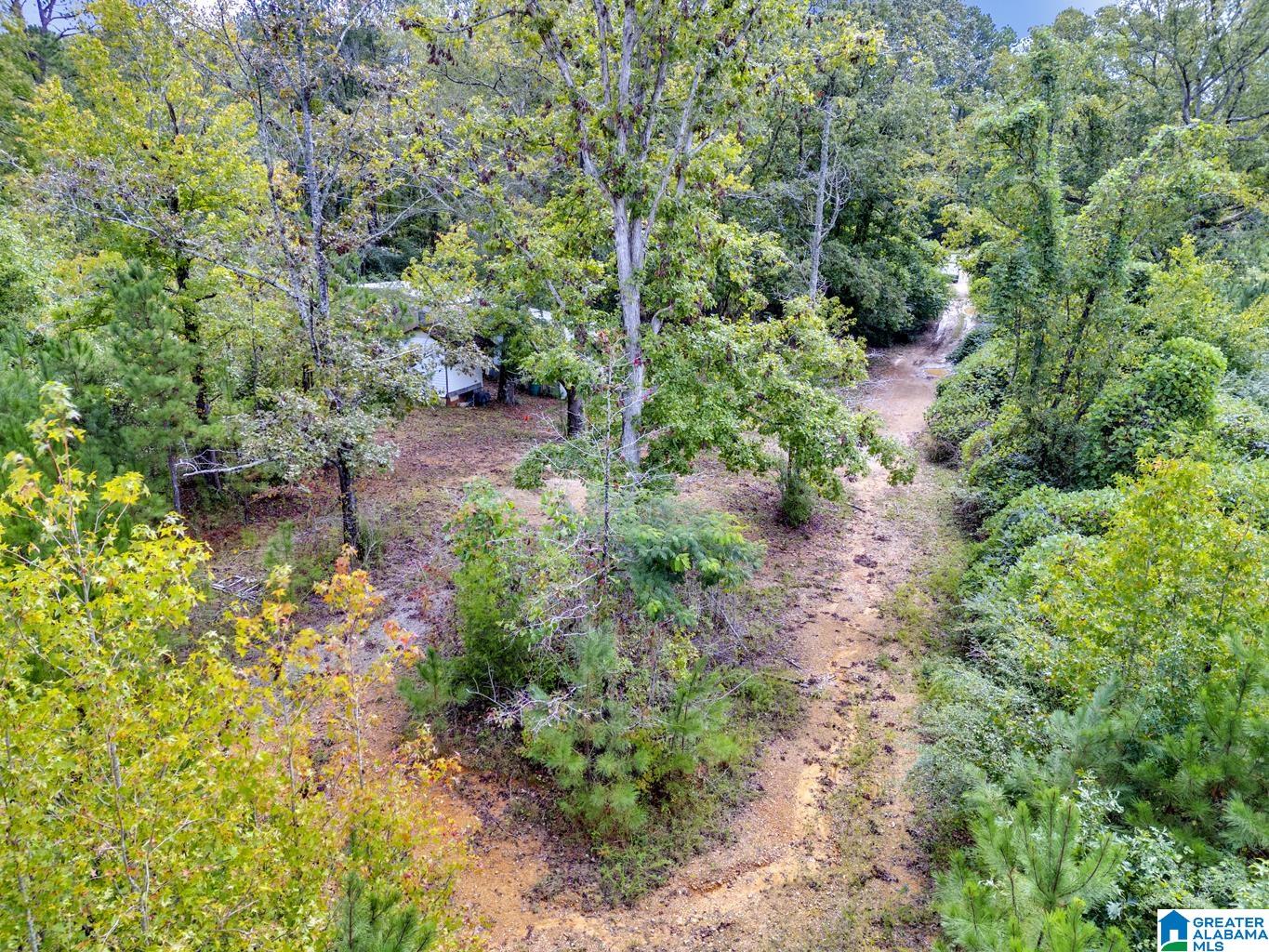 0 Warrior Road Ohatchee, AL 36271 - Photo 12 of 25