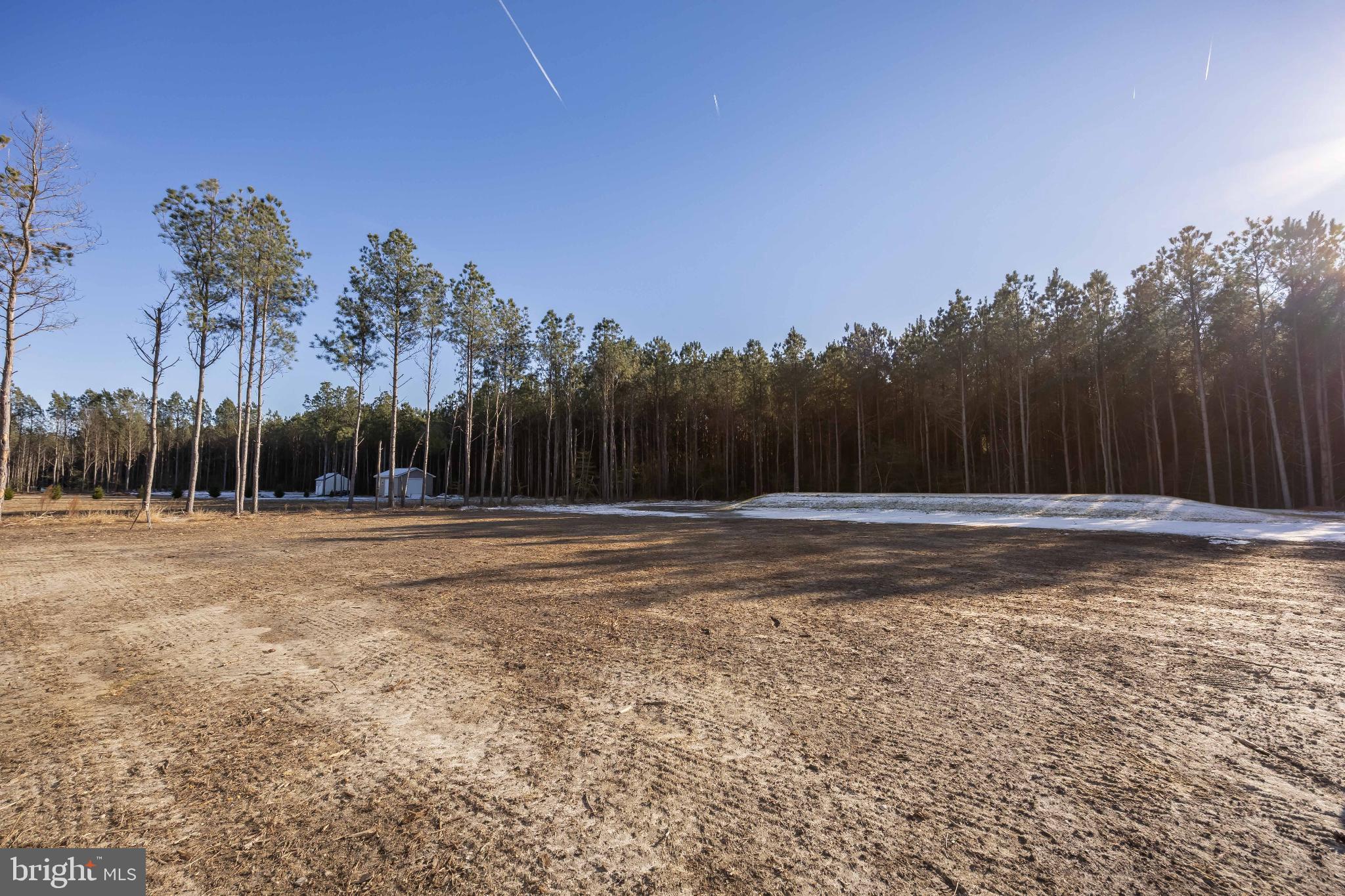 19438 Parsons Road Georgetown, DE 19947 - Photo 60 of 62 Cleared land bordered by serene pine forest.