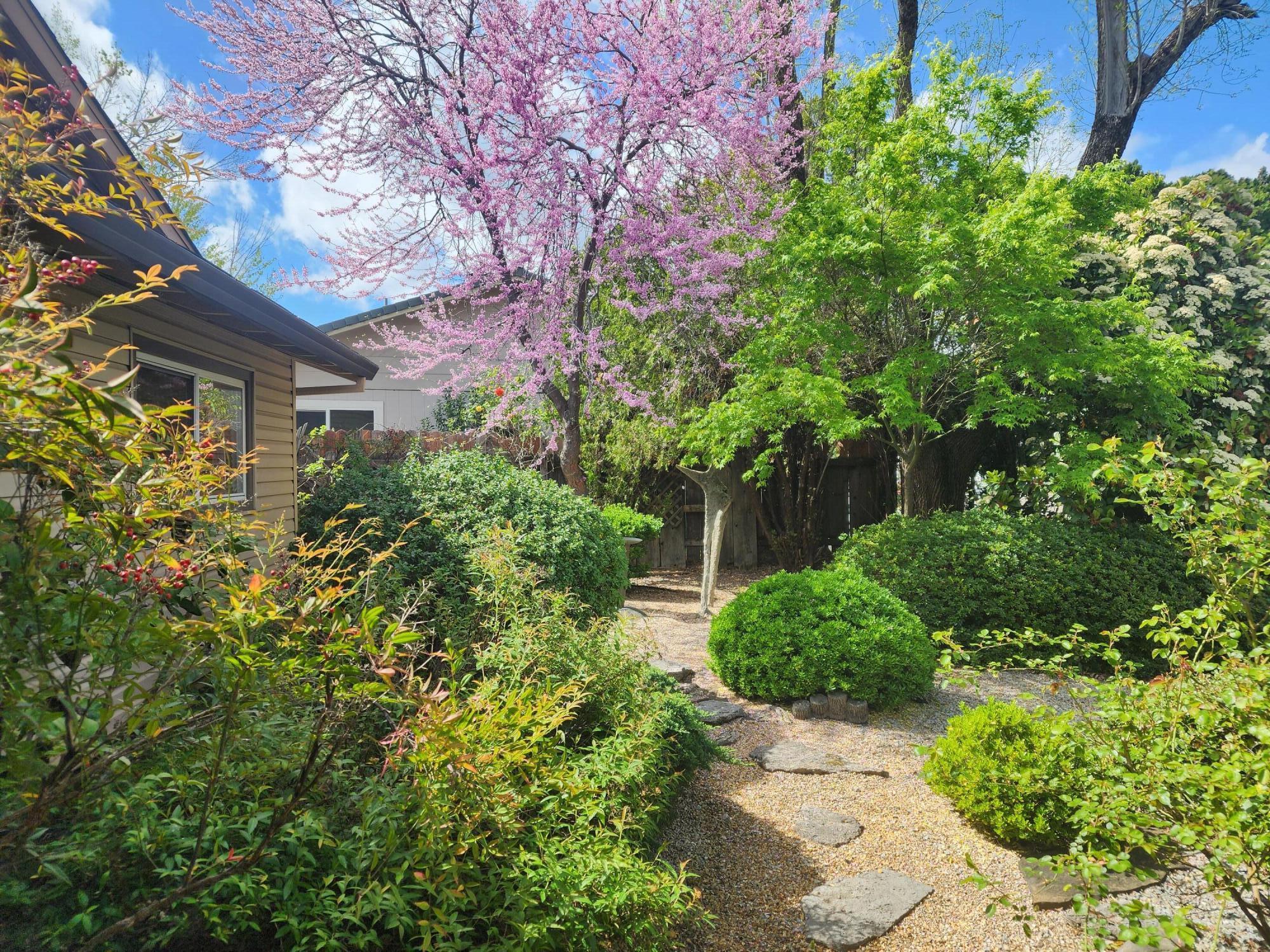4125 Oro Street Redding, CA 96001 - Photo 35 of 52 mature landscaping