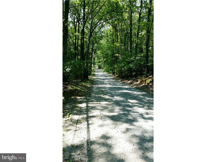 9 Stone Hill Road Allentown, NJ 08501 - Photo 3 of 24 a view of a yard