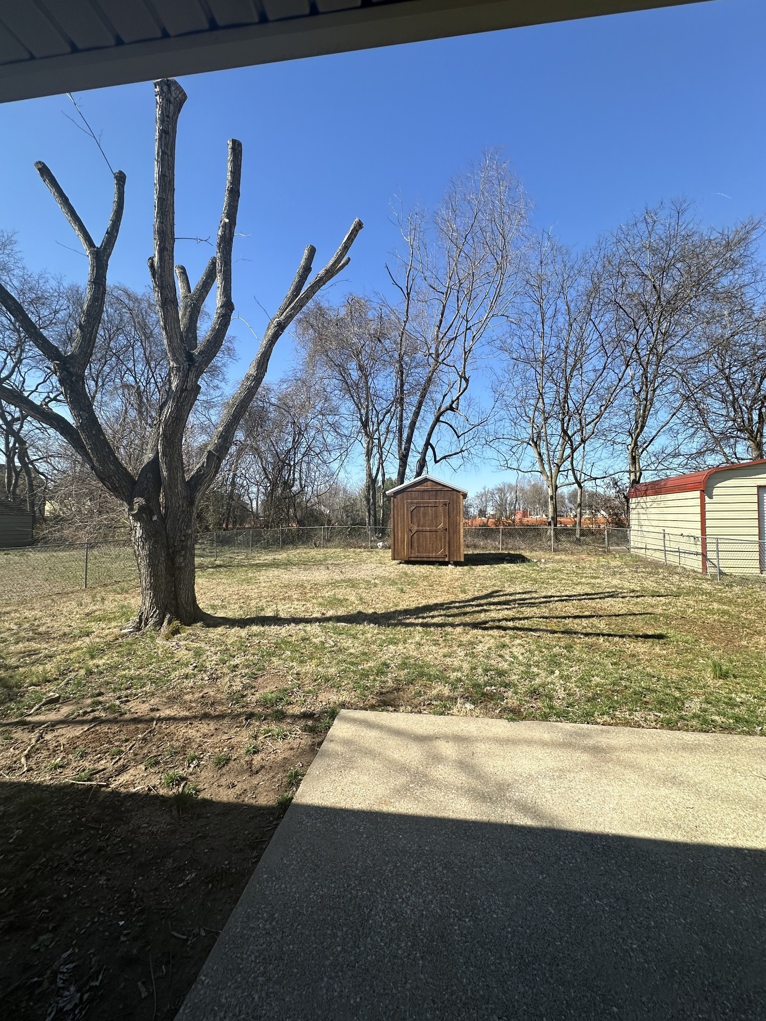 1027 Shadow Ridge Avenue Oak Grove, KY 42262 - Photo 14 of 14 a view of yard with tree